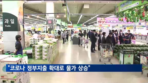 "코로나 당시 정부지출 확대로 물가 상승"
