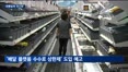유통산업에 드리운 '규제 강화' 그림자…이재명 정부 출범에 업계 '초긴장'