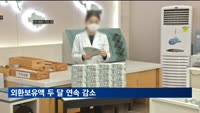 5월말 외환보유액 4천46억달러…두 달 연속↓