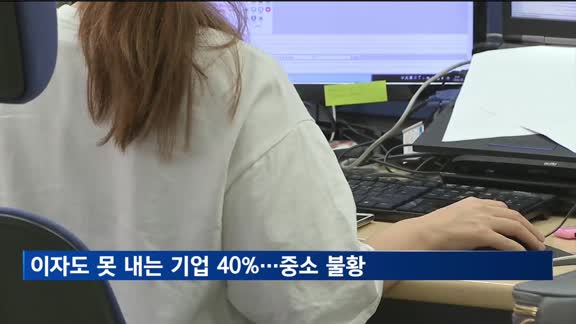 이자도 못 내는 기업 40%…"중소·비제조업 직격탄"
