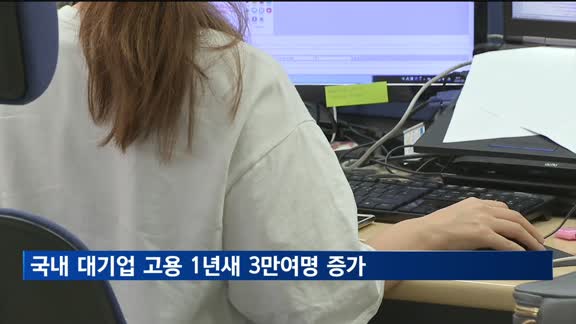 국내 대기업 고용 1년새 3만여명 증가
