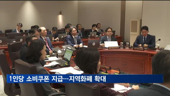 정부, 추가경정예산 의결…소비쿠폰 지급·지역화폐 확대