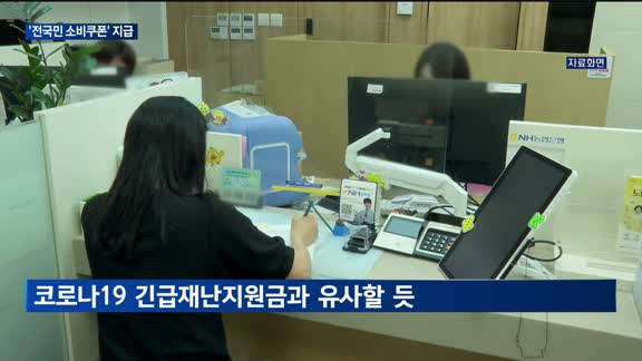 '전국민 소비쿠폰' 지급 소식에…유통업계 희비 엇갈려