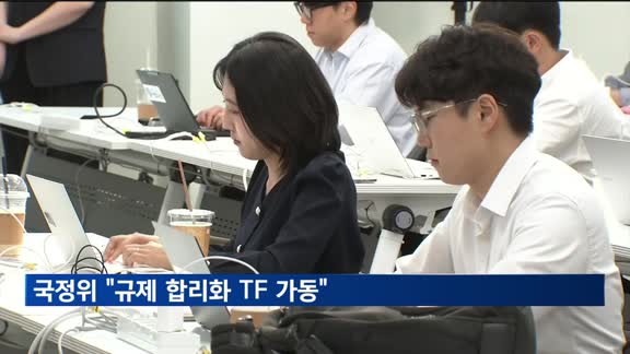 국정위 "규제 합리화 TF 가동"