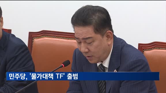 민주당, '물가대책 TF' 출범