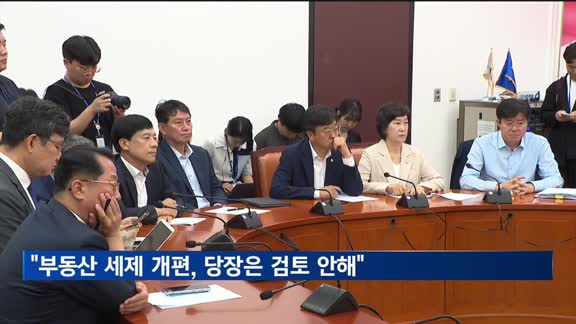 진성준 "부동산 세제 개편, 당장은 검토 안 해"
