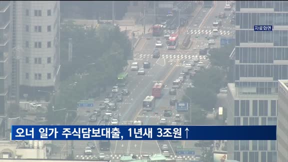 '50대 그룹 오너 일가' 주식담보대출, 1년새 3조원↑
