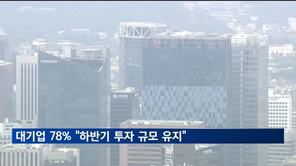 대기업 78% "하반기 투자, 상반기와 비슷"