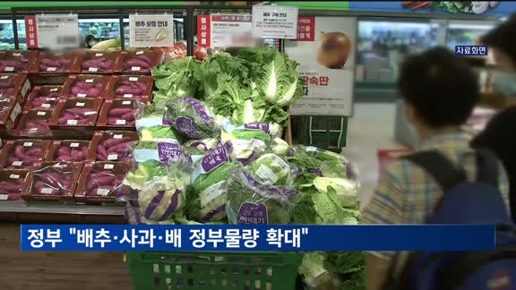 정부 "배추·사과·배 정부물량 확대"