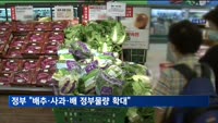 정부 "배추·사과·배 정부물량 확대"