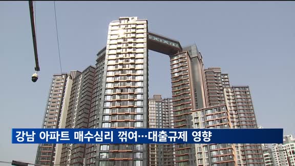 강남권 아파트 매수심리 꺾여…대출 규제 영향