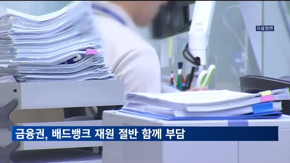 배드뱅크 재원 절반, 전금융권 함께 부담