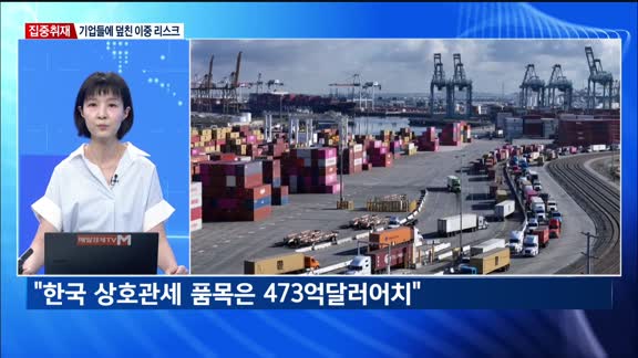 [집중취재] 실적 실망에 관세까지?…기업들에 덮친 이중 리스크