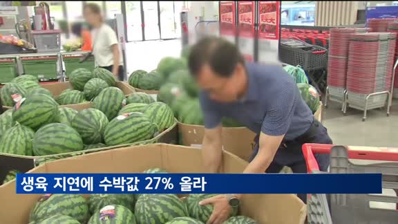 생육 지연에 수박값 20% 이상 올라…오이·애호박도 껑충