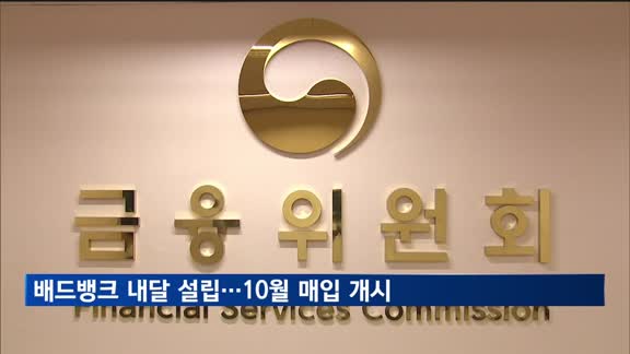 배드뱅크 내달 설립…10월 매입 개시