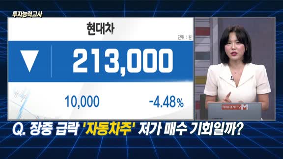 [투자능력고사] 주식남녀 / 장중 급락 ‘자동차주‘ 저가 매수 기회일까?