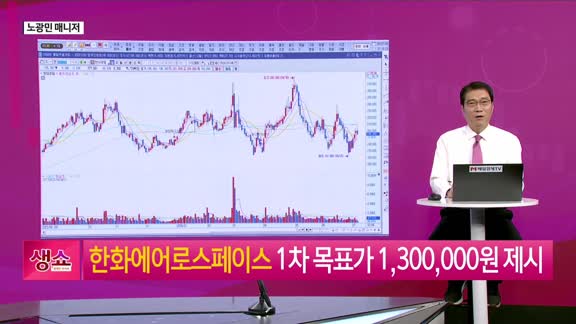 [생생한 주식쇼 생쇼] 삼성전자(005930) 실적 발표 임박, 반도체 쏠림과 투자 전략