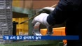 7월 산업생산 보합…소비 줄고 설비투자는 두 달째 증가